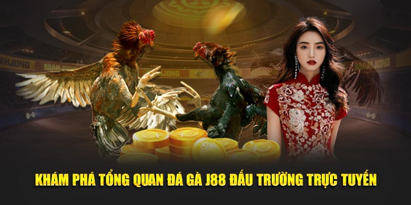 Khám phá tổng quan đá gà J88 đấu trường trực tuyến