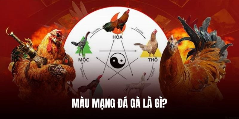 Ý của màu mạng đá gà