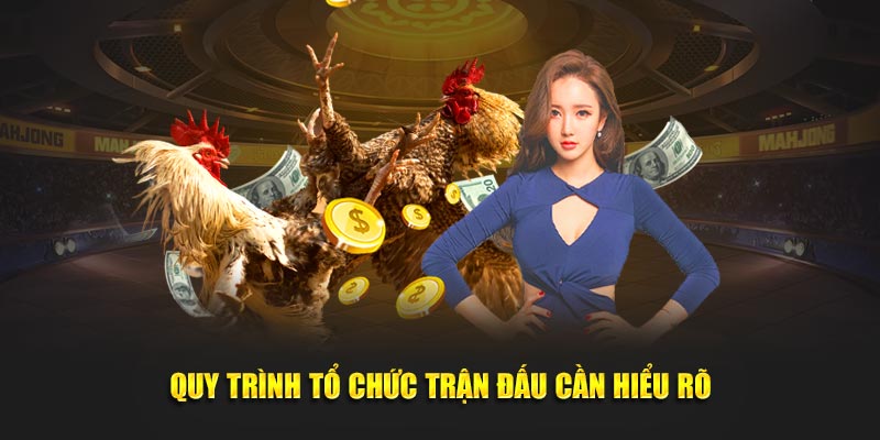 Quy trình tổ chức trận đấu cần hiểu rõ